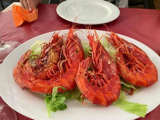 Apartamento Solymar 马拉加 外观 照片